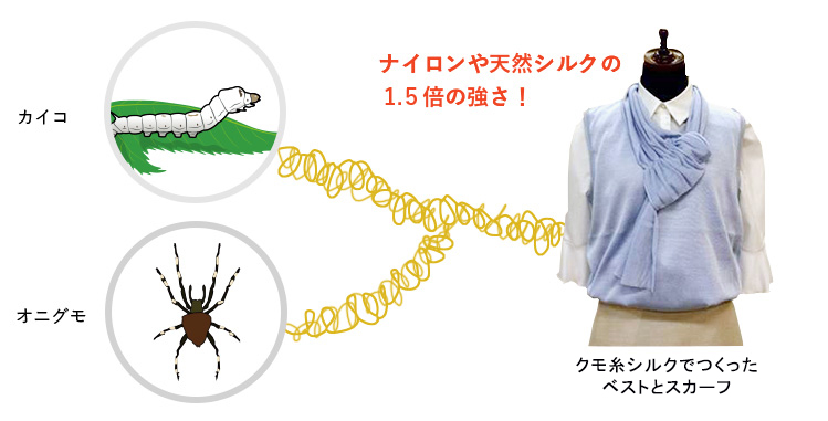 天然シルクとクモ糸シルク