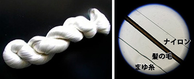 絹糸（左）。右は顕微鏡写真。まゆ糸の太さはおよそ0.002ミリメートルくらい。