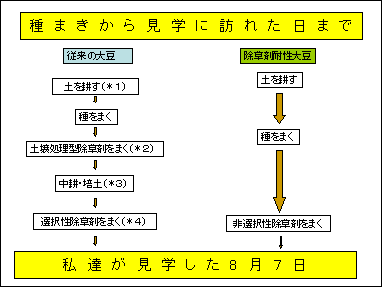 Tgw̐}